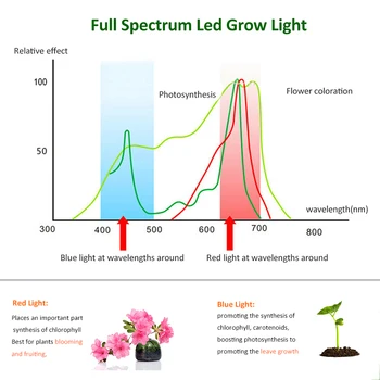 1000W LED Cresce a Luz do Painel Fito de luz Para as Plantas de Espectro Completo de Led Phytolamp Interior de Mudas de Ervas que crescem Lâmpada Para florescer