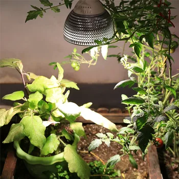 4pcs/monte 150W E27 Espectro Completo de Led Cresce a Luz da Lâmpada Para a Hidroponia Cultivo de Flores Médica Plantas de Interior Tenda de Iluminação